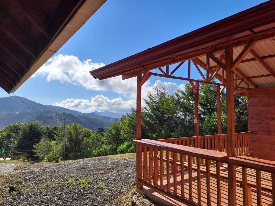 Monarca - The View In The Area! *