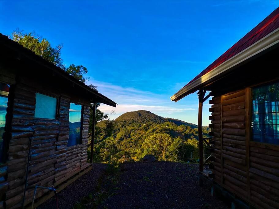 Monarca - The View In The Area! * Jardin
