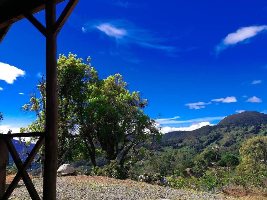 Chalet Monarca - The View In The Area! Jardin