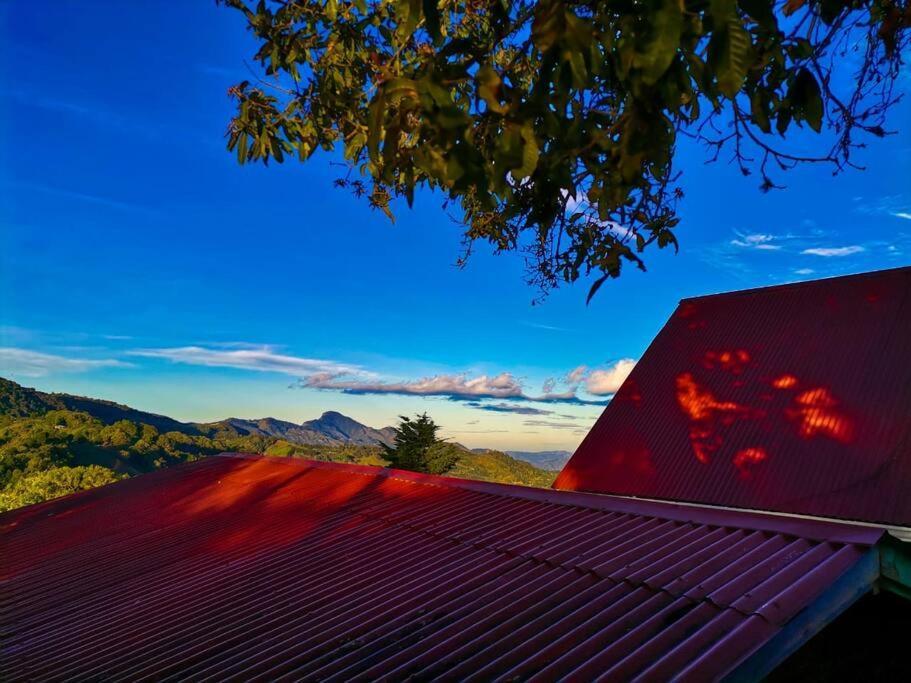 Monarca - The View In The Area! * Jardin