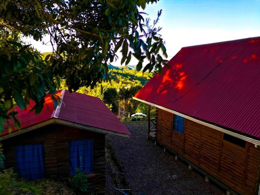Monarca - The View In The Area! Chalet Jardin